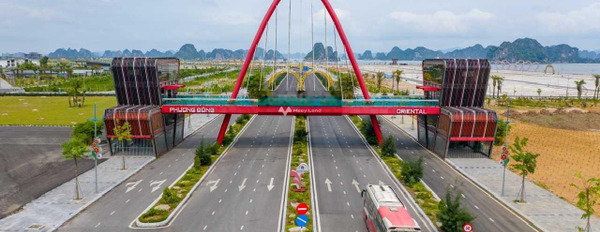 Bán đất diện tích đúng với trên ảnh 87.5m2 vị trí đặt tọa lạc ngay Vân Đồn, Quảng Ninh-02
