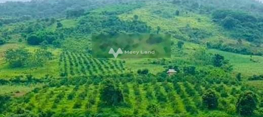 Giá siêu tốt 3 tỷ bán đất có diện tích tổng là 22000m2 vị trí thuận tiện Nam Phong, Cao Phong-02