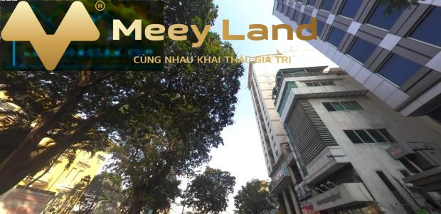 Nằm tại Nguyễn Thái Bình, Hồ Chí Minh, bán nhà giá 45 tỷ, diện tích 58m2-01