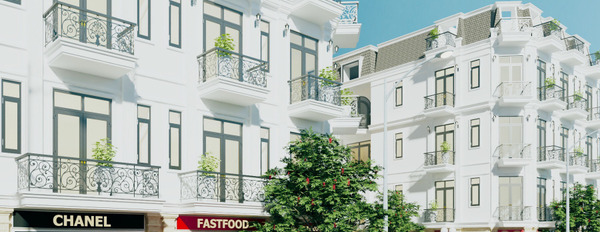 Mở bán 40 căn nhà phố mặt tiền chợ Bảo Tân Residence - Hồ Văn Long, Quận Bình Tân, F0 chủ đầu tư-02