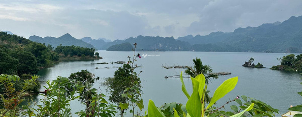 Tiền Phong, Đà Bắc bán đất diện tích thực như trên hình 6600m2-03