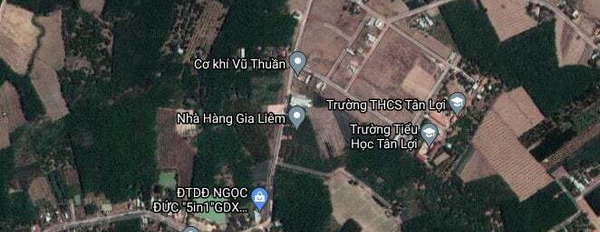Đất nền sổ sẵn cách khu công nghiệp Becamex Đồng Phú 900m có sẵn 100m thổ cư-03