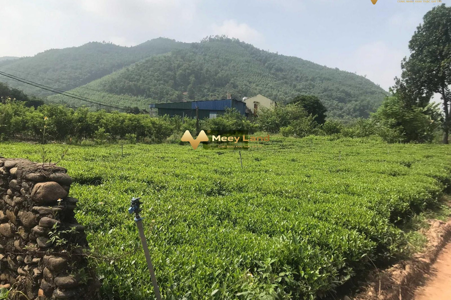 5700m đất làm trang trại, nhà vườn sẵn nhà tại Tân Cương, Thái Nguyên-01