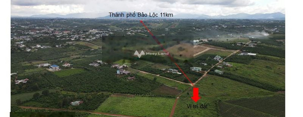 11.5 tỷ bán đất có diện tích chuẩn 8891m2 vị trí mặt tiền tọa lạc ngay Bảo Lâm, Lâm Đồng-03