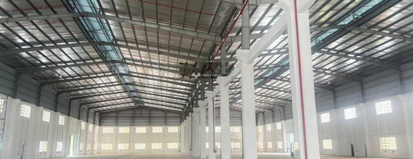 Mặt tiền nằm ngay trên Đt 826, Long An cho thuê kho bãi 5200m2 thuê ngay với giá ngạc nhiên 325 triệu/tháng vị trí đắc địa-03