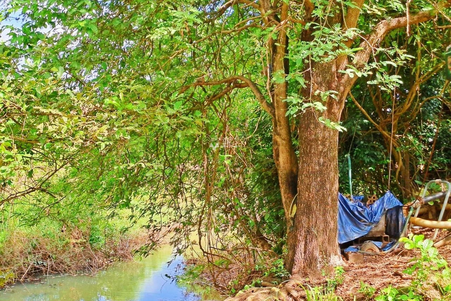 Giá bán 11.5 tỷ, Bán đất diện tích sàn là 17000m2 vị trí hấp dẫn ngay tại Ninh Tây, Ninh Hòa tin chính chủ-01