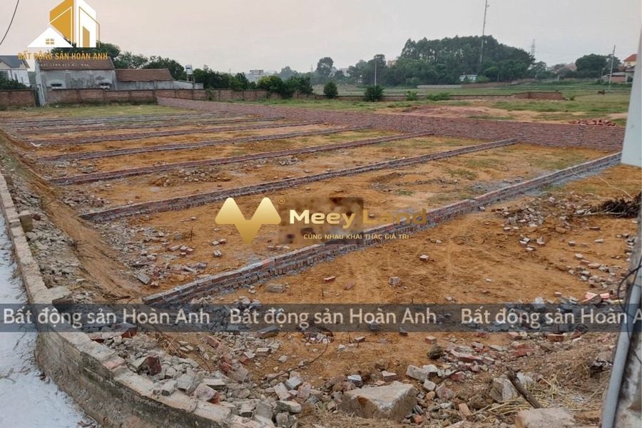 Xã Danh Thắng, Tỉnh Bắc Giang bán đất giá cạnh tranh từ 850 triệu diện tích thực khoảng 120 m2-01