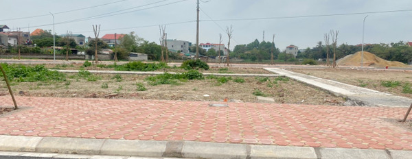 Đất nền tự xây duy nhất tại thành phố Bắc Giang, giá từ 24 triệu/m2, thanh toán 95% nhận sổ đỏ-02