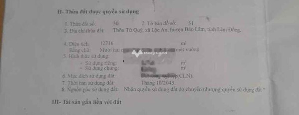 Quốc Lộ 20, Lâm Đồng 4.2 tỷ bán đất, hướng Đông Nam diện tích thực là 12000m2-02