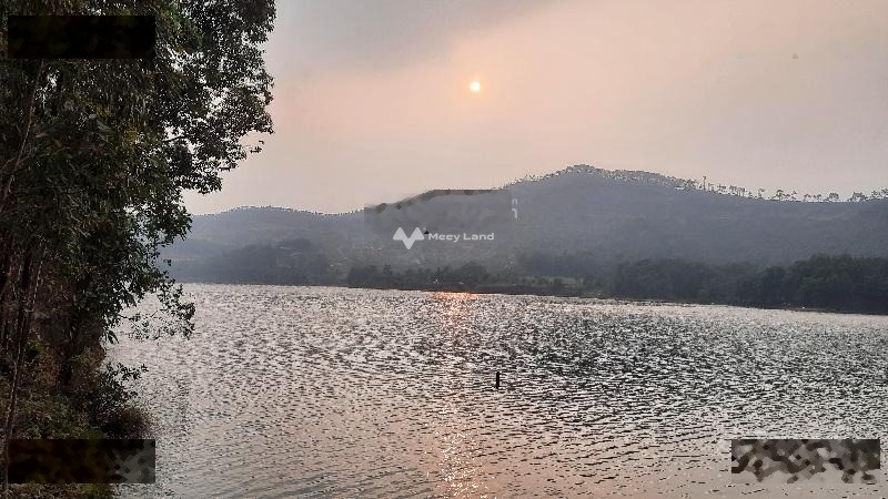 Bán đất rừng sản xuất view hồ Lập Đinh phù hợp làm du lịch nghỉ dưỡng cực kì sang trọng-01