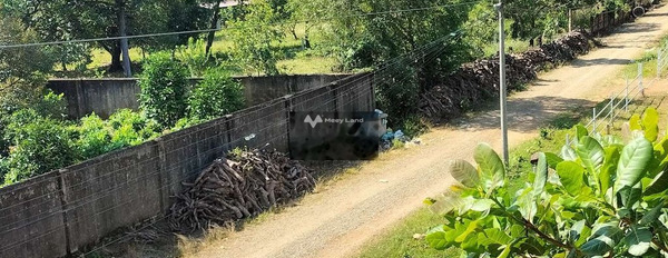 Vị trí đặt gần Đạ Huoai, Lâm Đồng bán đất giá bán đặc biệt chỉ 3.2 tỷ diện tích trong khoảng 1000m2-02