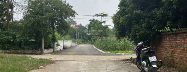 Bán đất tại Tiến Xuân, Hà Nội. Diện tích 449m2-02