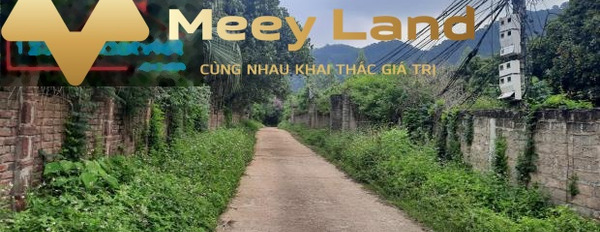 Bán đất lâm trường minh phú sóc sơn nhà bao mới-03