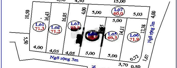 Đang cần rất nhiều tiền bán đất Cổ Điển, Hải Bối giá bán khuyến mãi chỉ 1.86 tỷ diện tích rộng là 60m2-03