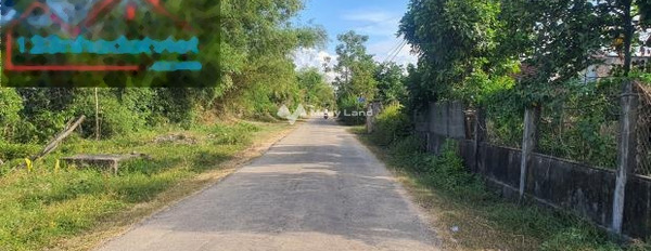 Nguyễn Viết Xuân, Thừa Thiên Huế bán đất giá bán khởi điểm 2.25 tỷ có diện tích chung 180m2-03