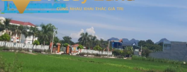 Bán mảnh đất, giá hiện tại 400 triệu có diện tích gồm 180 m2-02