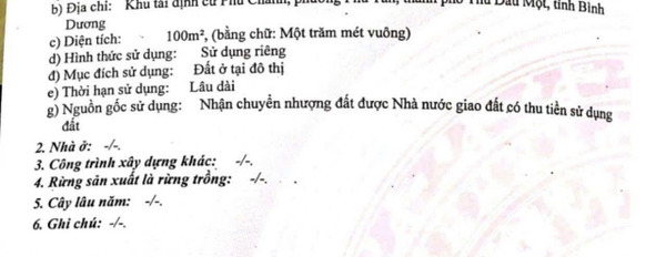 Bán đất 2.35 tỷ Phú Tân, Bình Dương với tổng diện tích 100m2-03