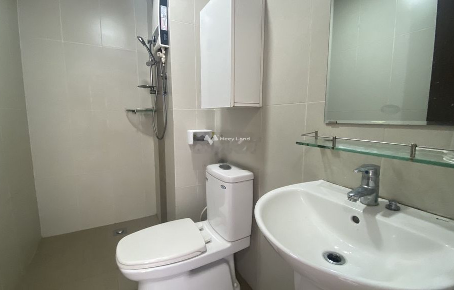 Cho thuê chung cư vị trí thuận lợi nằm trên Sơn Kỳ, Hồ Chí Minh, trong căn này gồm có 3 PN, 2 WC giá có thể fix-01