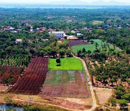 Cần bán đất quận Hai Bà Trưng thành phố Hà Nội giá 4.6 tỷ