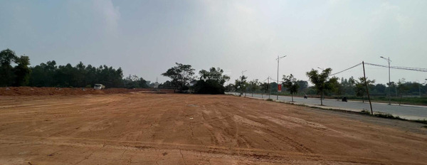 Việt Trì, Phú Thọ 2.1 tỷ bán đất diện tích đúng với trên ảnh 100m2-02