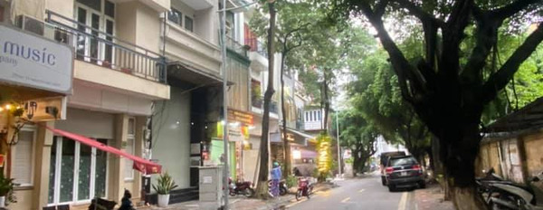 Bán nhà mặt phố Nguyễn Văn Ngọc, Ba Đình, kinh doanh, vỉa hè, 75m2, mặt tiền 4,5m-03