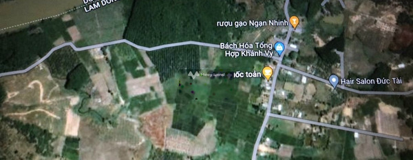 Ngay Đạ Kho, Lâm Đồng bán đất 6.24 tỷ với tổng diện tích 24000m2-03