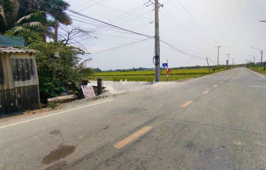 Đường Cầu Dừa cách nhựa Huỳnh Văn Đảnh 200m -01