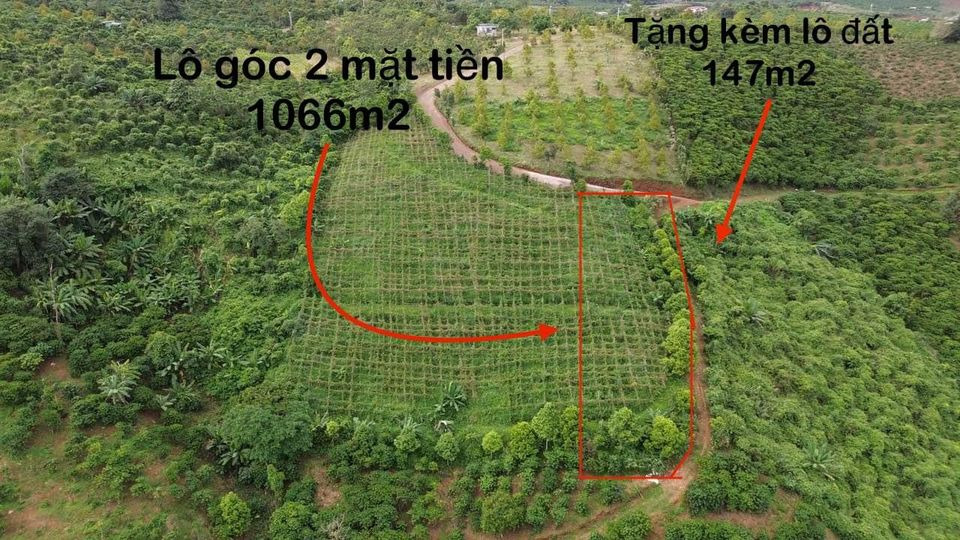 Bán nhà riêng quận Hoàng Mai thành phố Hà Nội giá 390.0 triệu-3