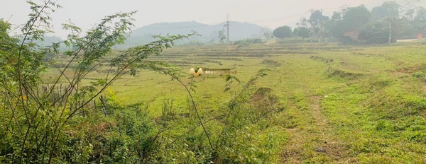 Cần bán đất tại Yên Trung, Thạch Thất, Hà Nội. Diện tích 1200m2, giá 4,8 tỷ-03