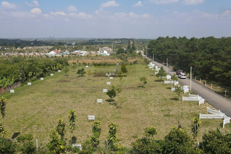 Vị trí phát triển Lộc Châu, Bảo Lộc bán đất giá bán vô cùng rẻ 2.8 tỷ có diện tích quy ước 500m2-01