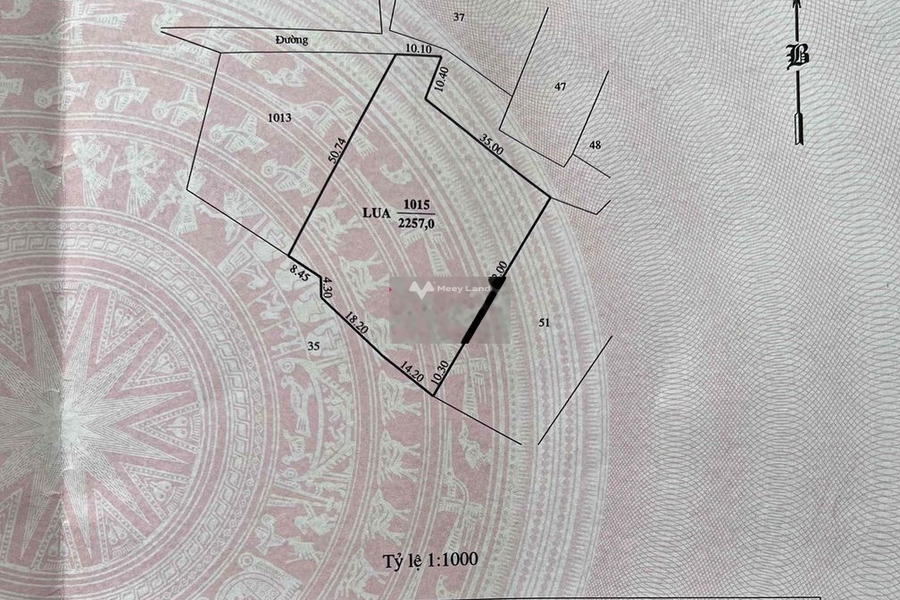 Khoảng từ 800 triệu bán đất có diện tích thực là 2257m2 tọa lạc tại Mỹ Bình, Phan Rang-Tháp Chàm-01