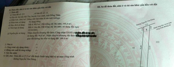 Bán nhà vị trí tiện lợi ngay tại Mỹ Thọ, Cao Lãnh giá bán cực tốt chỉ 1.2 tỷ có diện tích chung 200m2 trong nhà có 2 phòng ngủ-03