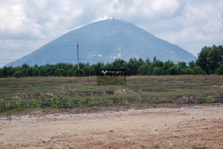 Phước Ninh, Tây Ninh bán đất giá bán siêu rẻ từ 500 triệu diện tích thực như trên hình 140m2-01