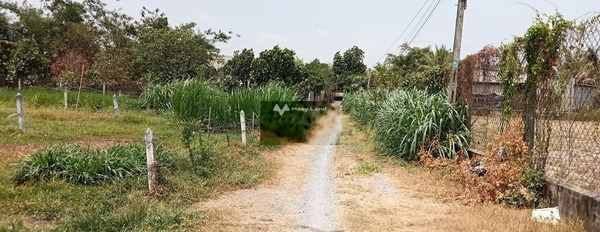 Cần bán đất đường Pháo Binh, Thanh Phước, Gò Dầu, Tây Ninh -03