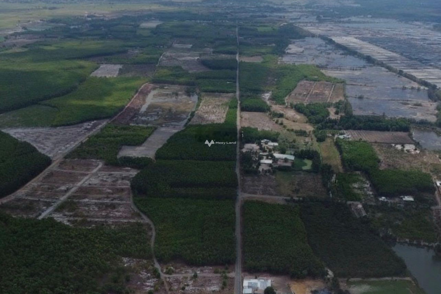 Lộc An, Bà Rịa-Vũng Tàu 1 tỷ bán đất có một diện tích 500m2-01