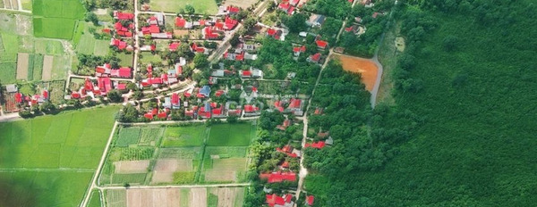 Thành Long, Thanh Hóa 300 triệu bán đất Diện tích nền 80m2-03
