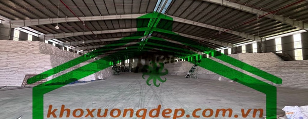 Bán kho xưởng 21400m2 giá cực hời trong KCN Nam Tân Uyên, Bình Dương -03