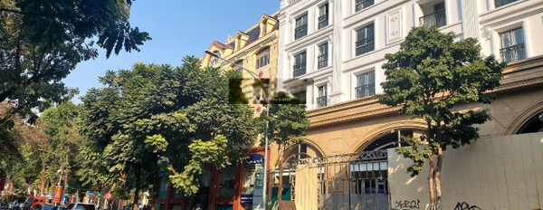 Ở Quang Trung, Hà Nội bán chung cư bán ngay với giá rẻ chỉ 14.11 tỷ, hướng Tây - Nam, tổng quan trong ngôi căn hộ gồm 2 PN, 2 WC giá hợp lý-03