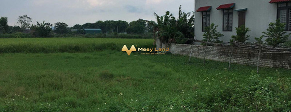 Bán đất mặt tiền ngay ở Quảng Xương, Thanh Hóa-03