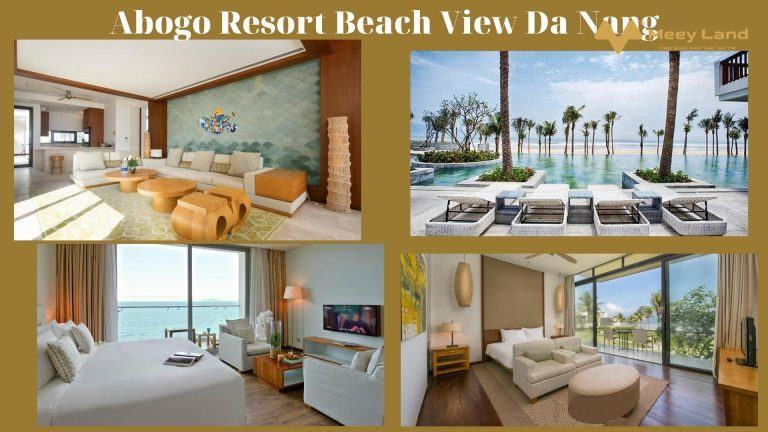 Cho thuê Abogo Resort Beach View Da Nang