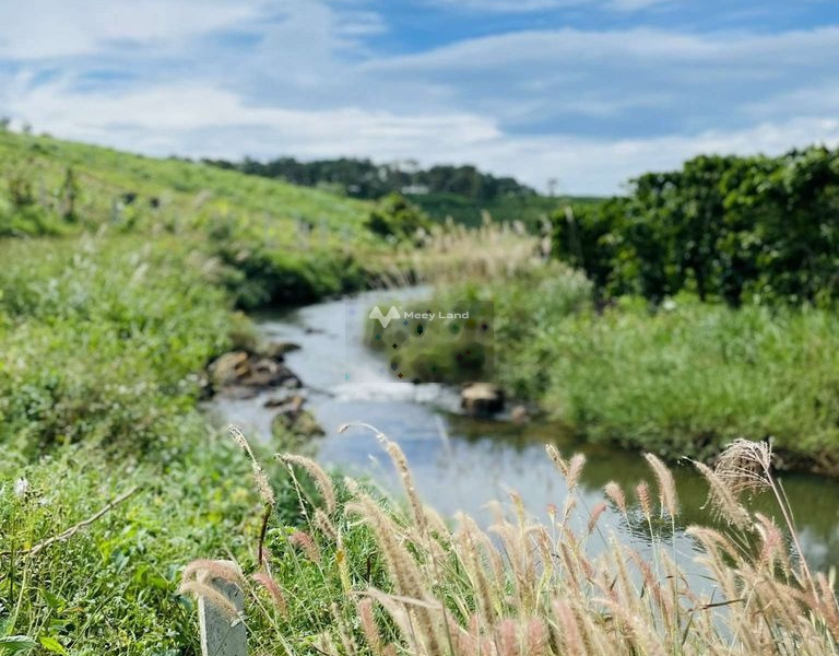 Giá 1.2 tỷ bán đất diện tích dài 2000m2 vị trí đẹp nằm ngay Bảo Lâm, Lâm Đồng-01