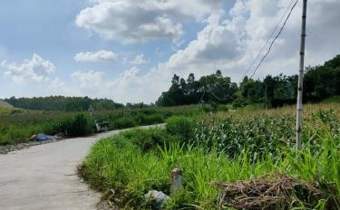 Giá khoảng từ 2.28 tỷ bán đất dt tầm trung 2400 m2 mặt tiền nằm ở Liễn Sơn, Vĩnh Phúc-03