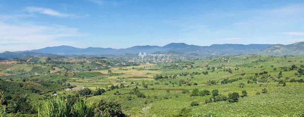 Giá cực rẻ chỉ 850 triệu bán đất diện tích là 20000m2 vị trí nằm ở Lâm Hà, Lâm Đồng, hướng Đông Nam-02