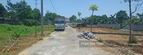 Vị trí ngay tại Tiến Xuân, Hà Nội bán đất giá bán mua liền từ 1.7 tỷ diện tích rộng rãi 106m2-03