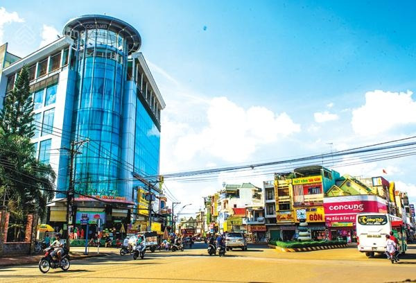 Vị trí đặt ngay trên Nguyễn Thị Minh Khai, Đồng Nai cho thuê nhà thuê ngay với giá rẻ chỉ 100 triệu/tháng