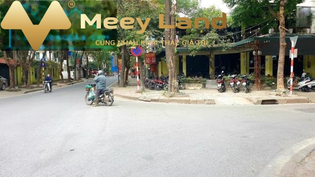 Bán nhà diện tích 102m2 vị trí đặt ở quận Hoàng Mai, Hà Nội