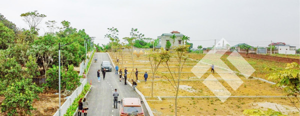 Cần bán đất nằm tại Quốc Oai, Hà Nội. Diện tích 186m2, giá 1,79 tỷ-02