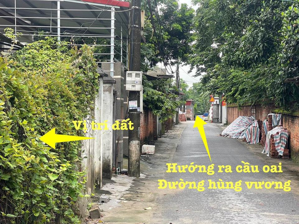 Bán đất thành phố Vĩnh Yên tỉnh Vĩnh Phúc giá 1.46 tỷ-0