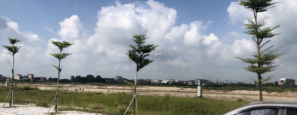 Nằm tại Bình Xuyên, Bình Giang bán đất 1.4 tỷ diện tích mặt tiền 100m2-03