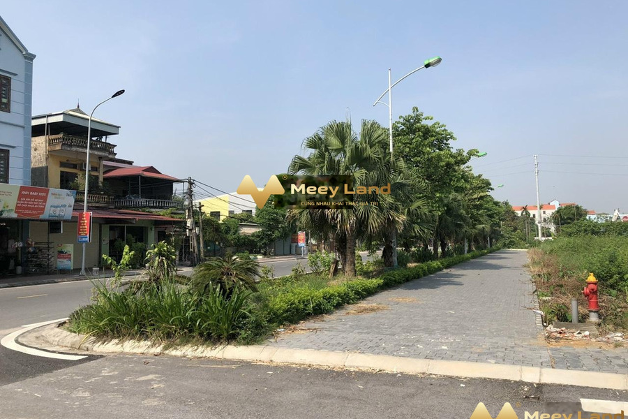 Ngay trên Yên Mỹ, Hưng Yên bán đất giá bán giao lưu 4,25 tỷ diện tích như sau 85 m2-01